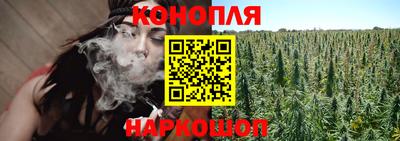 гидропоника Кунгур