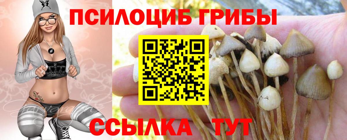 Псилоцибиновые грибы Psilocybe  Вход с VPN  Урай 